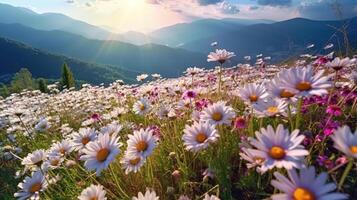 schön bunt Blume Kosmos Felder mit verwischen Berg Hintergrund. generativ ai foto