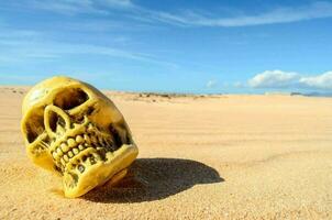Schädel auf das Sand foto