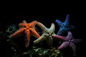 ai generiert das Meer Seestern glitzerte mögen Sterne im das dunkel Tiefe von das unter Wasser Welt. foto