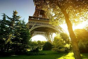 Park in der Nähe von Eiffel Turm foto