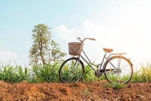 schönes Vintage Fahrrad foto