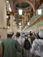 Medina, Saudi Arabien, kann 2023 - - Muslim Pilger sind gehen zu Besuch Roza rasool beim Masjid al Nabawi Medina. foto