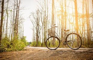 schönes Vintage Fahrrad foto