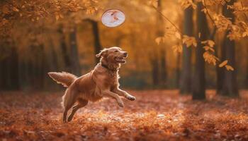 golden Retriever Hündchen spielen im Herbst Wald generiert durch ai foto