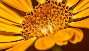 beschwingt Gelb Gänseblümchen Blüte, ein Single Blume im Natur Schönheit generiert durch ai foto