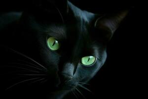 ai generiert minimalistisch Porträt von ein glatt schwarz Katze, mit Piercing Grün Augen und subtil Schatten. foto