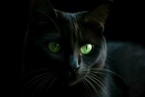 ai generiert minimalistisch Porträt von ein glatt schwarz Katze, mit Piercing Grün Augen und subtil Schatten. foto