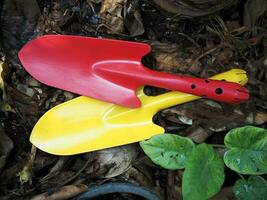 Boden Löffel und bunt zum Garten Arbeiter foto