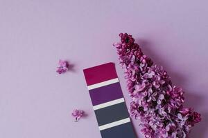 Farbe Katalog, ein Beispiel von lila auf Papier Stichprobe und lila Blumen. das Farbe Palette benutzt durch das Designer zu wählen das richtig Farbton. Aussicht von über. foto