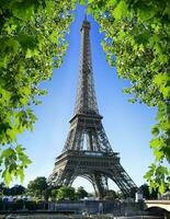 Eiffel Turm und Natur foto