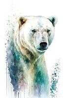Illustration Polar- Bär im Aquarell. Tier auf ein Weiß Hintergrund, generativ ai foto