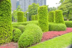 schön dekoriert Garten im das Garten von Bangkok, Thailand foto