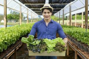 asiatisch lokal Farmer wachsend ihr Salat Grüner Salat im das Gewächshaus mit Bio Boden Ansatz zum Familie besitzen Geschäft und pflücken etwas zum Verkauf foto