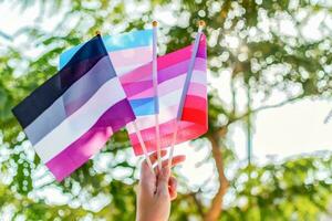 weiblich Hand halt asexuell, Transgender und Lesben Flagge. selektiv Fokus. Geschlecht komisch. foto