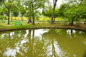 Blühen Bäume und schön See im Bangkok Park, Chatuchak Park foto