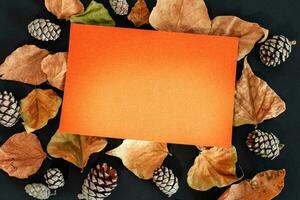 Komposition mit Herbst Blätter und Raum zum Text auf schwarz Hintergrund. foto