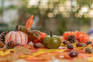 Hintergrund von getrocknet Blätter, Kürbisse und Herbst Früchte. foto
