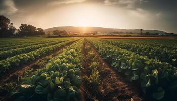 ein Panorama- ländlich Szene mit beschwingt Tulpen im ein Wiese generativ ai foto