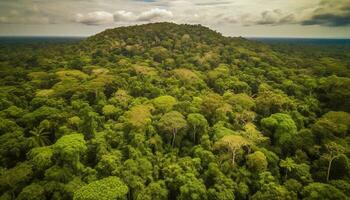 still Wipfel Wiese im tropisch Regenwald, ein heiter Abenteuer wartet generativ ai foto