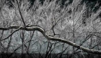 tot Pflanze auf verdrehte Baum Stamm, Schönheit im Natur Tod generiert durch ai foto