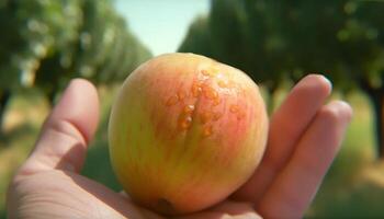 reif Apfel gehaltenen durch Hand, frisch von Bauernhof Herbst Ernte generiert durch ai foto