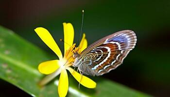 beschwingt Schmetterling ruht auf multi farbig Blume im still Wiese generiert durch ai foto