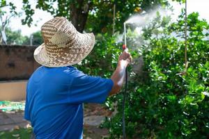 Senior Farmer sprühen organisches Insektizid auf Linde im Obstgarten