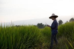 Bäuerin, die eine digitale Tablette verwendet, während sie in grünen Reissämlingen auf einem Reisfeld mit schönem Himmel und Wolken sitzt foto