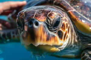 Meer Schildkröte schwimmt im klar Blau Wasser Nahansicht generativ ai foto