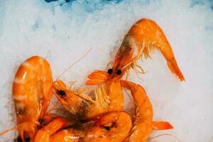 viele frisch Garnelen sind eingeweicht mit klein fein Eis Würfel. Essen Erhaltung beim ein Supermarkt foto