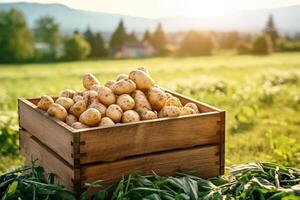 hölzern Box voll von Kartoffeln im ein Feld. generativ ai foto