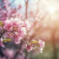 Frühling Rand oder Hintergrund Kunst mit Rosa Blüte. schön Natur Szene mit Blühen Baum und Sonne Fackel , erzeugen ai foto