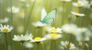 schön und bunt Schmetterling flattern Über das zart Bellamy Blumen Gänseblümchen auf ein sonnig Sommer- Tag, generieren ai foto