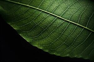 Erde Tag und Welt Umgebung Tag, Frühling, schön natürlich frisch Grün Blatt, Entspannung Natur Konzept, generieren ai foto