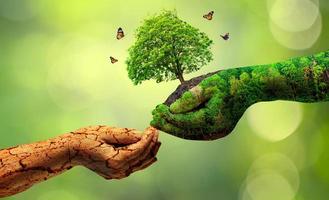 Umwelt Tag der Erde in den Händen von Bäumen wachsende Sämlinge Bokeh grüner Hintergrund weibliche Hand, die Baum auf Naturfeldgraswaldschutzkonzept hält foto