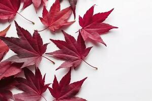 rot Ahorn Blätter isoliert auf Weiß Hintergrund, generieren ai foto