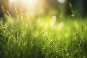 natürlich Grün defokussiert Frühling Sommer- verschwommen Hintergrund mit Sonnenschein. saftig jung Gras und Laub auf Natur im Strahlen von Sonnenlicht, szenisch Rahmen, Kopieren Raum foto