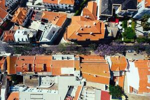 Antenne Drohne oben Nieder Aussicht von ein Straße im Cascais, Portugal mit lila Palisander Baum Blätter während das Frühling foto