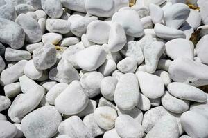 Weiß dekorativ Steine im das Garten. Garten dekorativ Steine. klein Weiß Steine. foto
