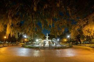 forsyth Park Brunnen - - Savanne, Georgia foto