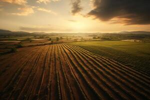 Antenne Aussicht Landwirtschaft Nachhaltigkeit, Sonnenuntergang, schön Feld. ai generiert foto