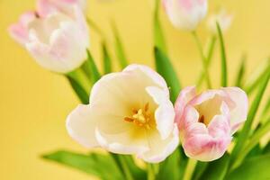 Tulpe Blumen Strauß auf Gelb Hintergrund foto