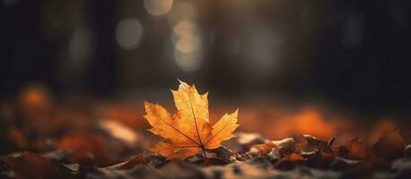 schön Herbst Blätter auf verschwommen Hintergrund. ai generiert foto