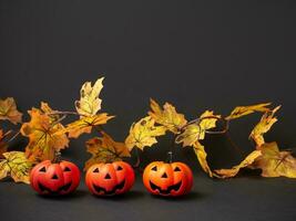 Halloween Party. drei Jack Kürbisse auf ein Hintergrund von Herbst Blätter. foto