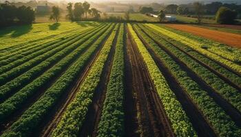 organisch Bauernhof Ernten frisch Obst und Gemüse generiert durch ai foto
