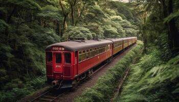 Dampf Zug Geschwindigkeiten durch Wald auf Eisenbahn Spur generiert durch ai foto