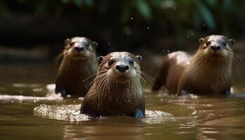 klein Gruppe von spielerisch Meer Löwen Schwimmen unter Wasser generiert durch ai foto