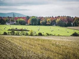 Ernte im Herbst foto