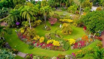 idyllisch Wiese Vitrinen multi farbig Blumen im ein landschaftlich gestaltet Garten generiert durch ai foto