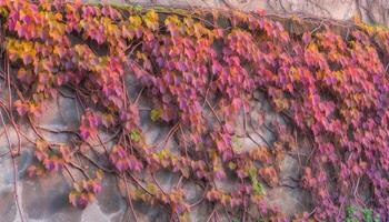 beschwingt Farben von Herbst Laub erstellen ein atemberaubend Hintergrund generiert durch ai foto